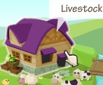 country story